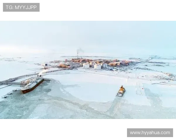 LNG在大师赛中的团队协作与配合表现深度分析与点评