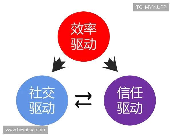 北京羽毛球队灵活性分析与战术创新的深度探讨 北京羽毛球队灵活性分析与战术创新的深度探讨