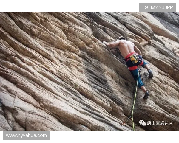 西安攀岩队的意识提升与团队精神探讨聚焦攀岩运动的未来发展