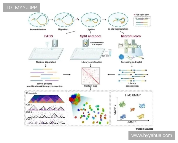 十年国米与拜仁的巅峰对决历史回顾与未来展望