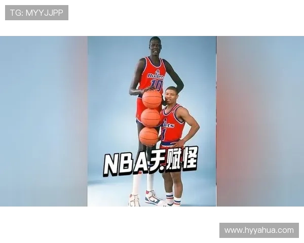 博格丹博格达诺维奇：从天赋新星到NBA赛场的璀璨之路